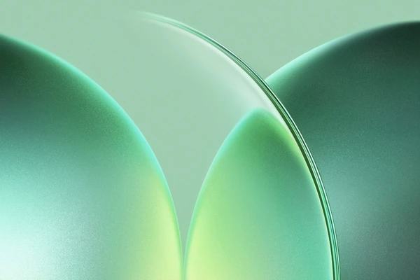 Honor MagicBook Pro 2026 wallpapers