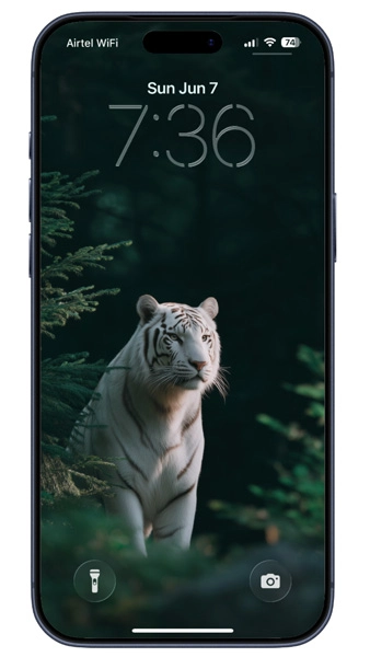best iphone wallpaper