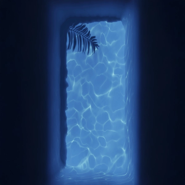 Honor 600 wallpapers